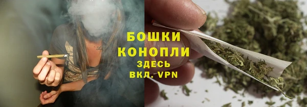 спайс Арсеньев