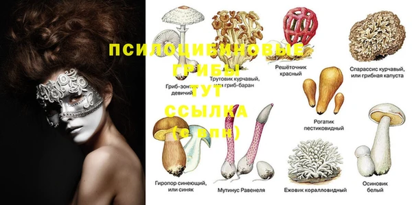 спайс Арсеньев