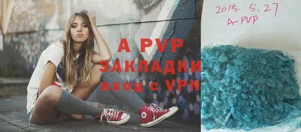 спайс Арсеньев