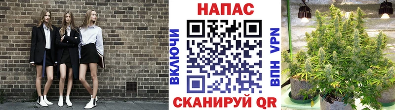 Бошки марихуана план  ссылка на мегу зеркало  Городище 